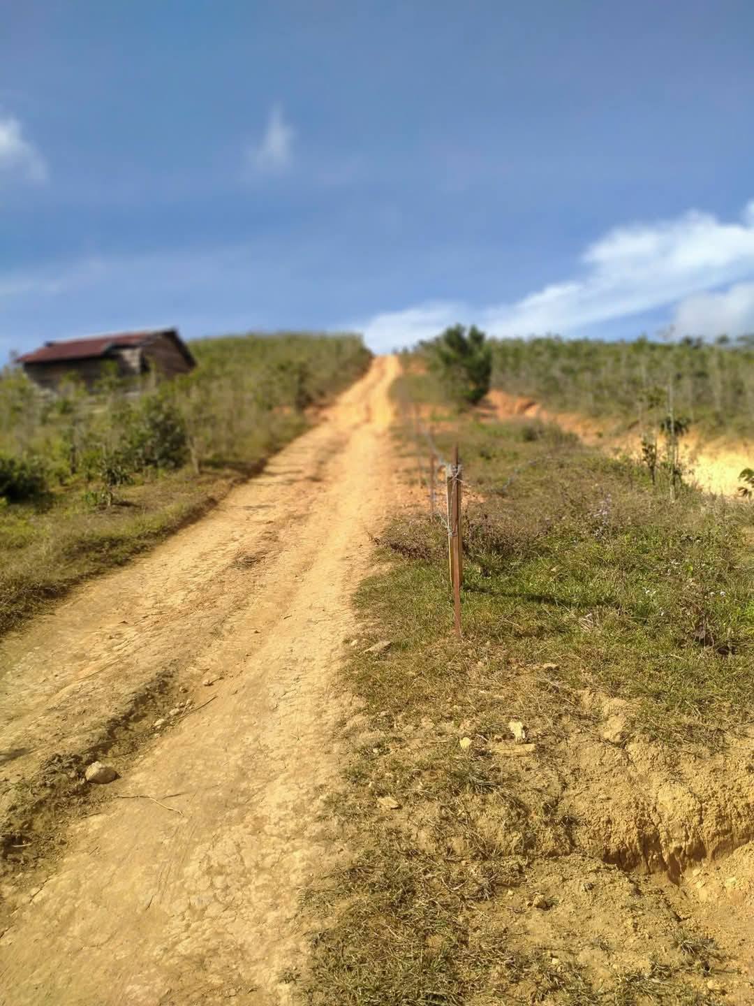 CẦN BÁN GẤP LÔ ĐẤT VIEW ĐẸP TẠI ĐASAR - LẠC DƯƠNG 4900m2 giá chỉ 3 tỷ - Ảnh 1